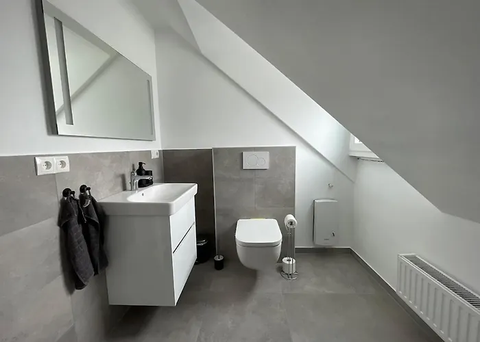 Gemuetliche Sanierte Mit Klimaanlage * Koblenz